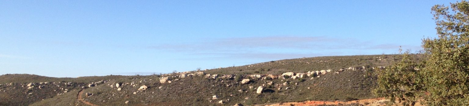 A vista of the San Diego hills with blue sky above